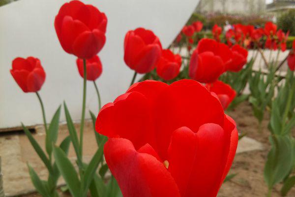 享受悠闲的生活的句子 这才是美好的人生