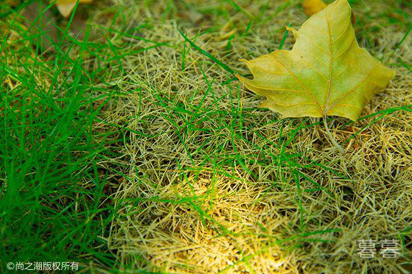  治愈系语录摘抄 送给伤痕累累的你