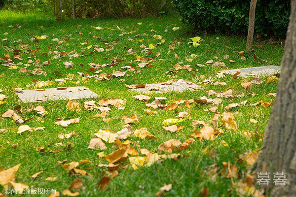 治愈系走心的句子 句句说到心坎上