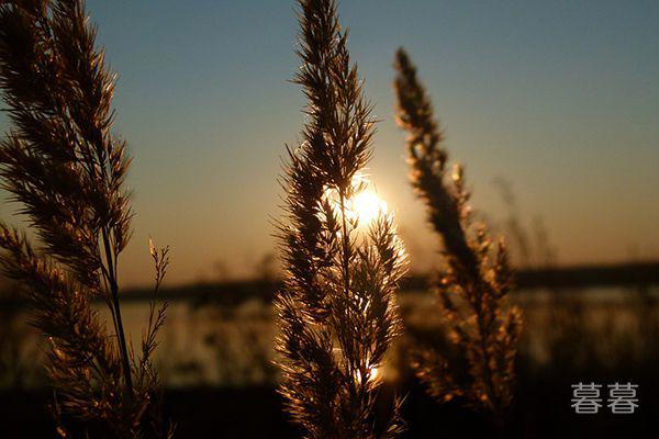什么样的人爱听陈奕迅的歌 大多情路坎坷爱而不得