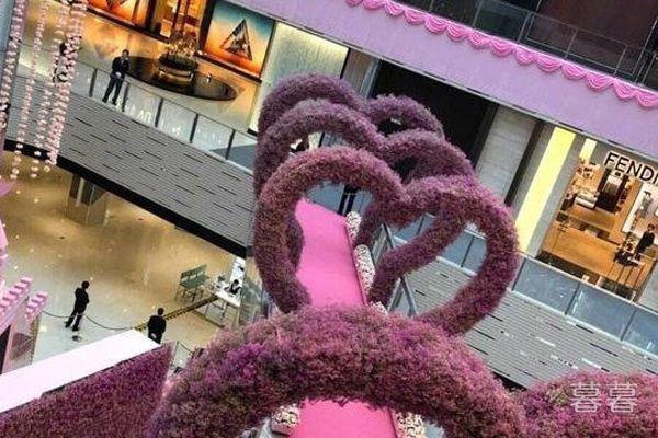 奚梦瑶何猷君怎么认识的 姐姐为中间媒人