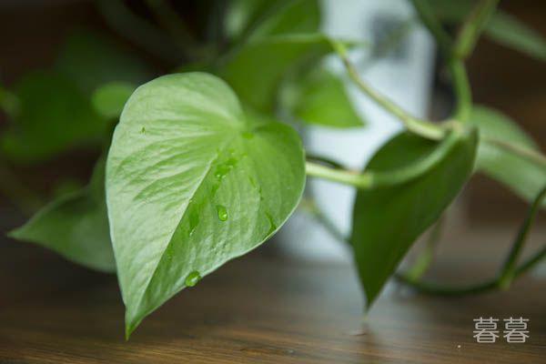 一路走好天堂里的句子 愿另一个世界没有苦难