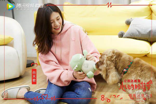 心动的信号向天歌喜欢谁 心动奥斯卡年龄成为最大的阻碍