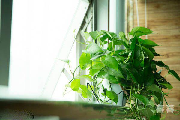 教师节送什么礼物新颖合适 鲜花啥的早就过时了