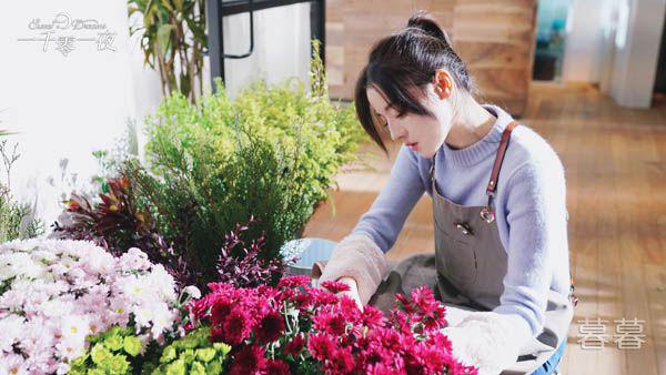 一千零一夜柏海和谁在一起了 梦境中的她成为了现实