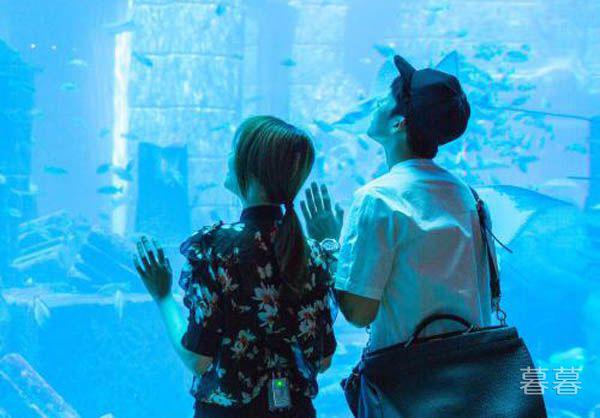 井柏然喜欢过郑爽吗 只因彼此太熟悉