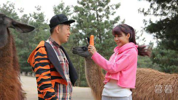 杜海涛喜欢吴昕还是沈梦辰 他最终的选择原来是她