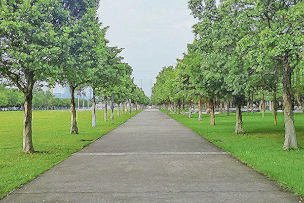 游戏玩到一半偷偷换人比赛 宿舍里的猪队友让人无奈