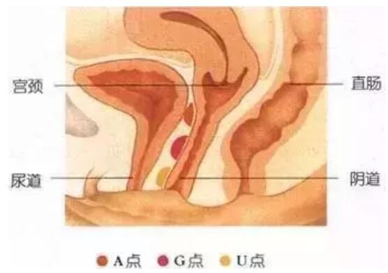 被顶到子宫是一种什么样的体验?