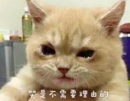 doi真的会做到哭吗？现实中有人被做到哭吗？