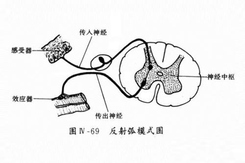 控精能力差怎么训练,科学控制射精训练方法有哪些