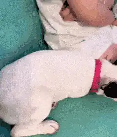 怎么能让男人变大变粗