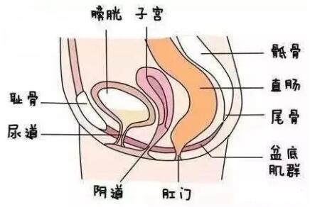 怎样判断是吹了还是尿了?喷的是尿还是什么
