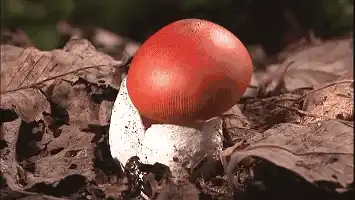 拥抱时会感觉到有凸起的东西吗？爱你的男人一抱你就起生理反应吗？