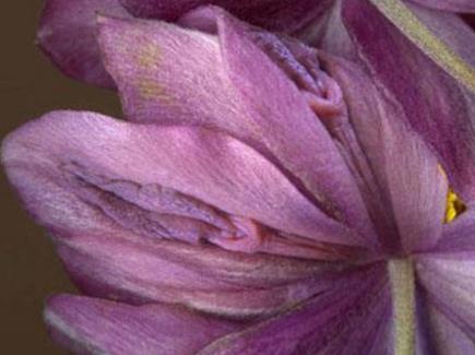 女人的私处生理科普--女人下部隐私(无遮挡)