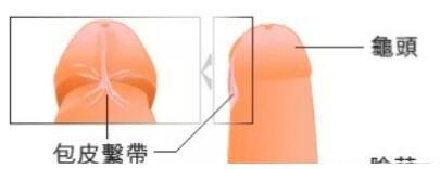 降低龟敏度的小窍门