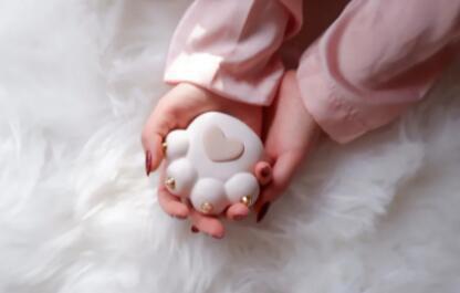 女士晚上玩的玩具哪个最好,女生自用小玩具推荐