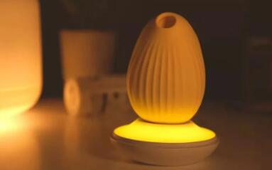 女士晚上玩的玩具哪个最好,女生自用小玩具推荐