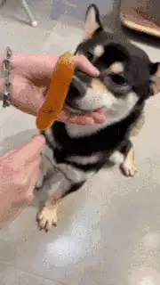 男朋友说我就蹭蹭不进去,蹭蹭会不会有事？