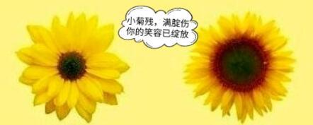 如何提高男生的耐久力和持久力