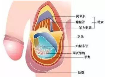 拥抱时感受他有反应了,男生为啥抱抱就有反应