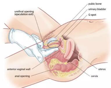女生是不是都可以喷泉，要怎样才可以让女孩子喷泉
