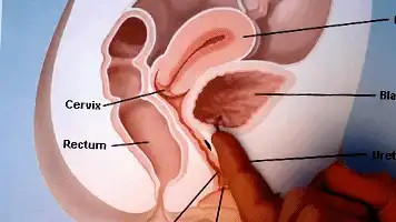 女生是不是都可以喷泉，要怎样才可以让女孩子喷泉