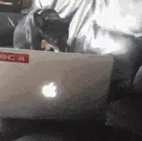 在电影院爱爱，为了男友，我这样做对吗？