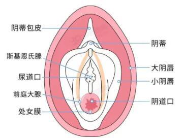 怎么样看自己破没破?用手是不是也属于第一次没了