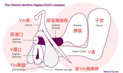 每个女孩子都会自w吗？女生自己动手解决有没有问题