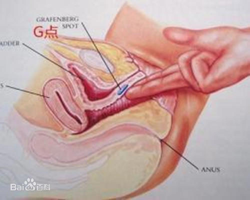 简单一招,教你快速G点高潮