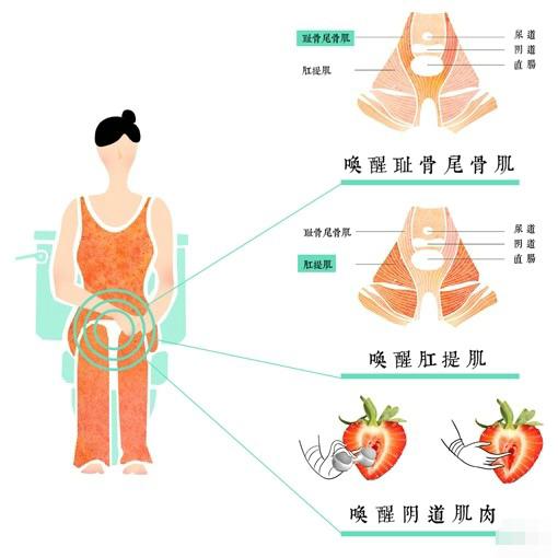 女生学会这几招,夹得老公嗷嗷叫