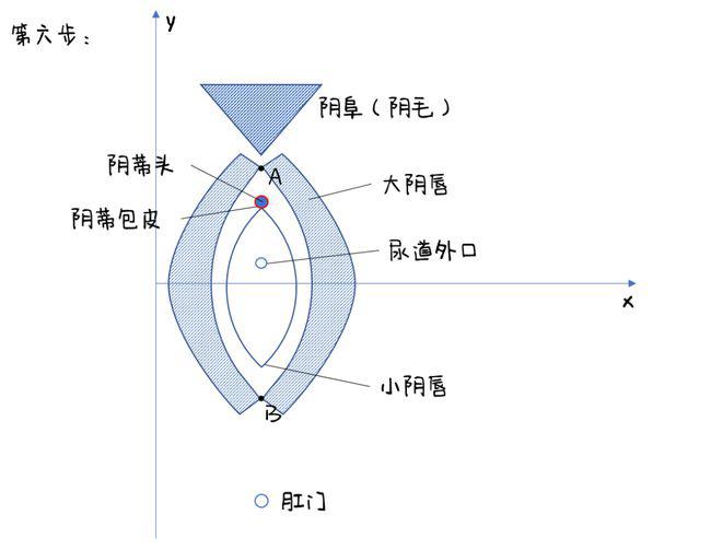 女生的私处，到底长什么样？（高清无码图）