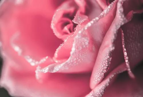 从粉到黑是不是做几次就会了?变黑真正的原因是这个