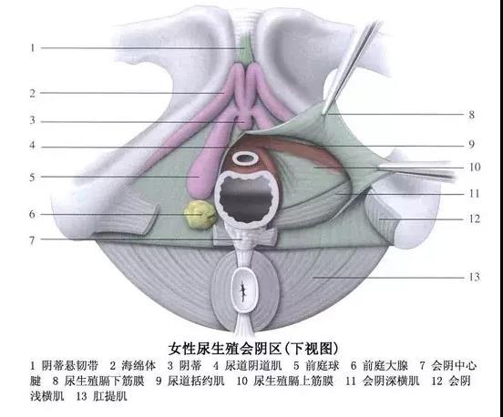女性干涩没水？怎么做才能更“丝滑”
