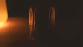 “逗豆鸟”我们大胆的寻找身体的快乐