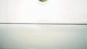 “逗豆鸟”我们大胆的寻找身体的快乐