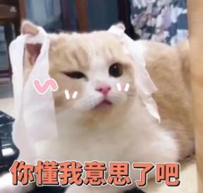 怎么玩C点？快速获得C点糕潮的7大指法