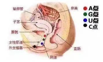 如何与你的伴侣一起探索G点