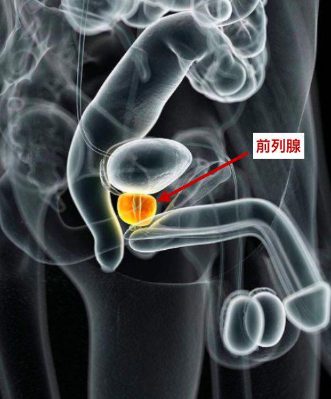 科普：爱爱时喷出的水到底是什么