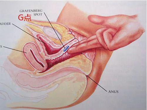 探索女性独特的性愉悦喷发快感——潮吹