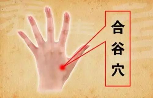 合谷的准确位置图片,合谷穴的功效与作用