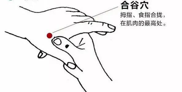 合谷的准确位置图片,合谷穴的功效与作用