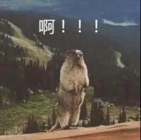 男人叫床指南，来跟我学