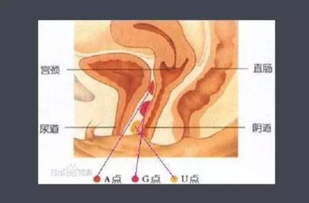 给女生:简单分享下找敏感点的小技巧