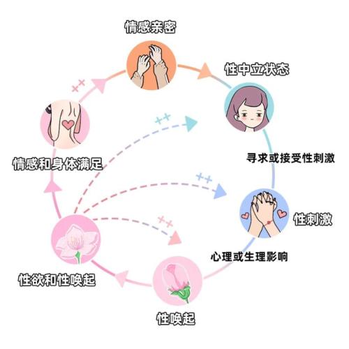 情侣该不该用情趣玩具?这件事上,他们比你还会玩……