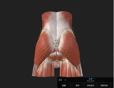 爱爱走后门怎么操作，到底有什么危害