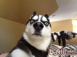 男朋友床上技术好是怎样的一种体验？