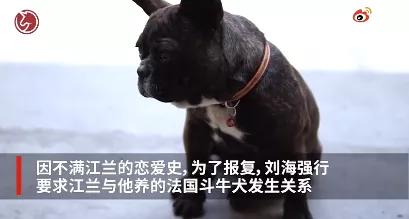 北京男子强逼女友与狗发生关系,只因其恋爱史