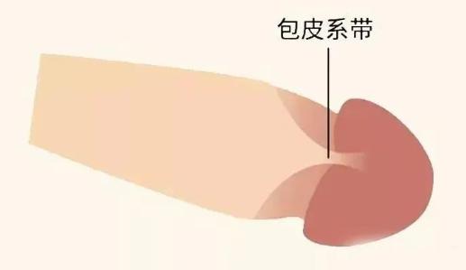 为什么男生的第一次也会流血？会疼吗